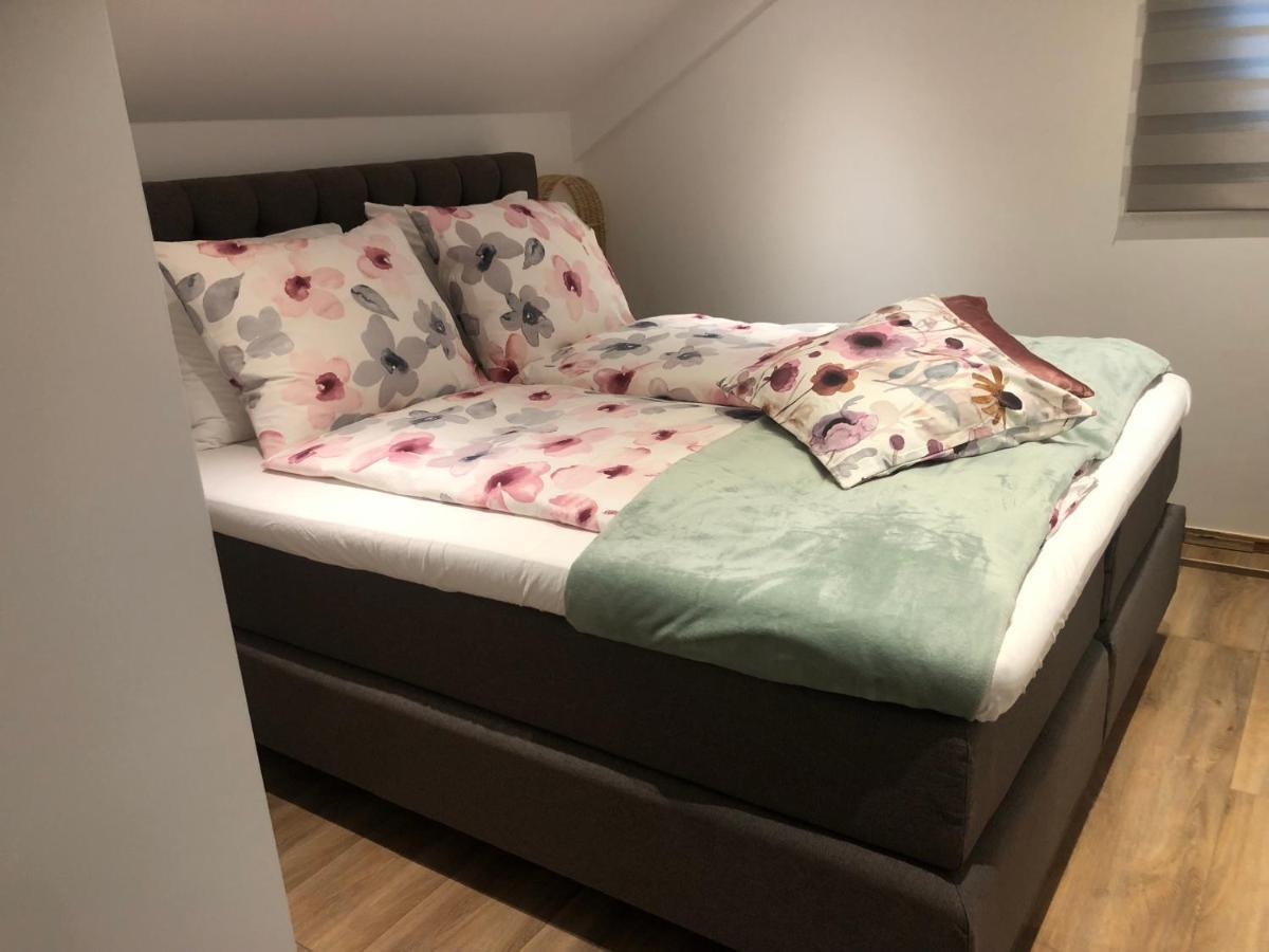 Hallo Maastricht B&B Fientje Exteriör bild